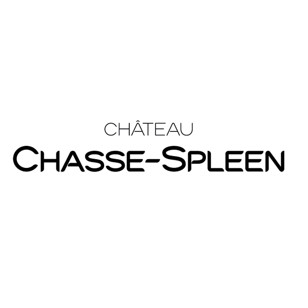 Chasse spleen