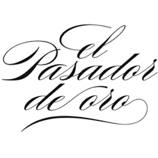 pasador